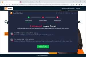 you are vulnerable to fake websites